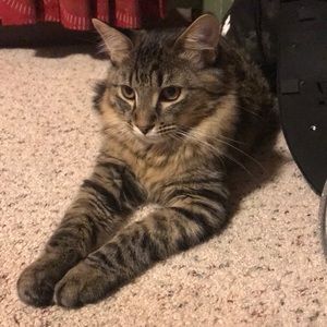 Meet your Posher, Christine